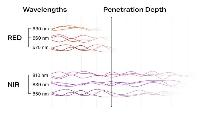 MITO LIGHT® Biohacker 5.0 raudonos šviesos ir NIR spindulių panelė